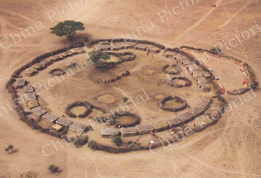 
空中俯瞰马赛人的村落。马赛人主要生活在肯尼亚南部和坦桑尼亚的中北部地区，是非洲一个古老的游牧民族，也是民族文化保存得非常完整的一个民族。他们的标志，就是一身永远披在身上的红色披肩和手上握着的木棍。
摄影 罗红
