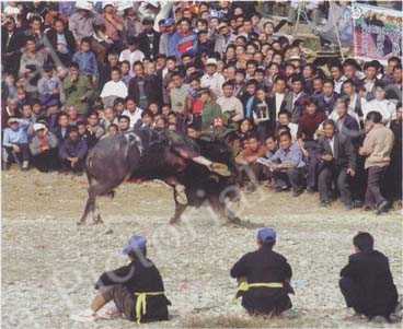 
Large audiences turn out for the big fight.
by Wu Dongjun/CFP
